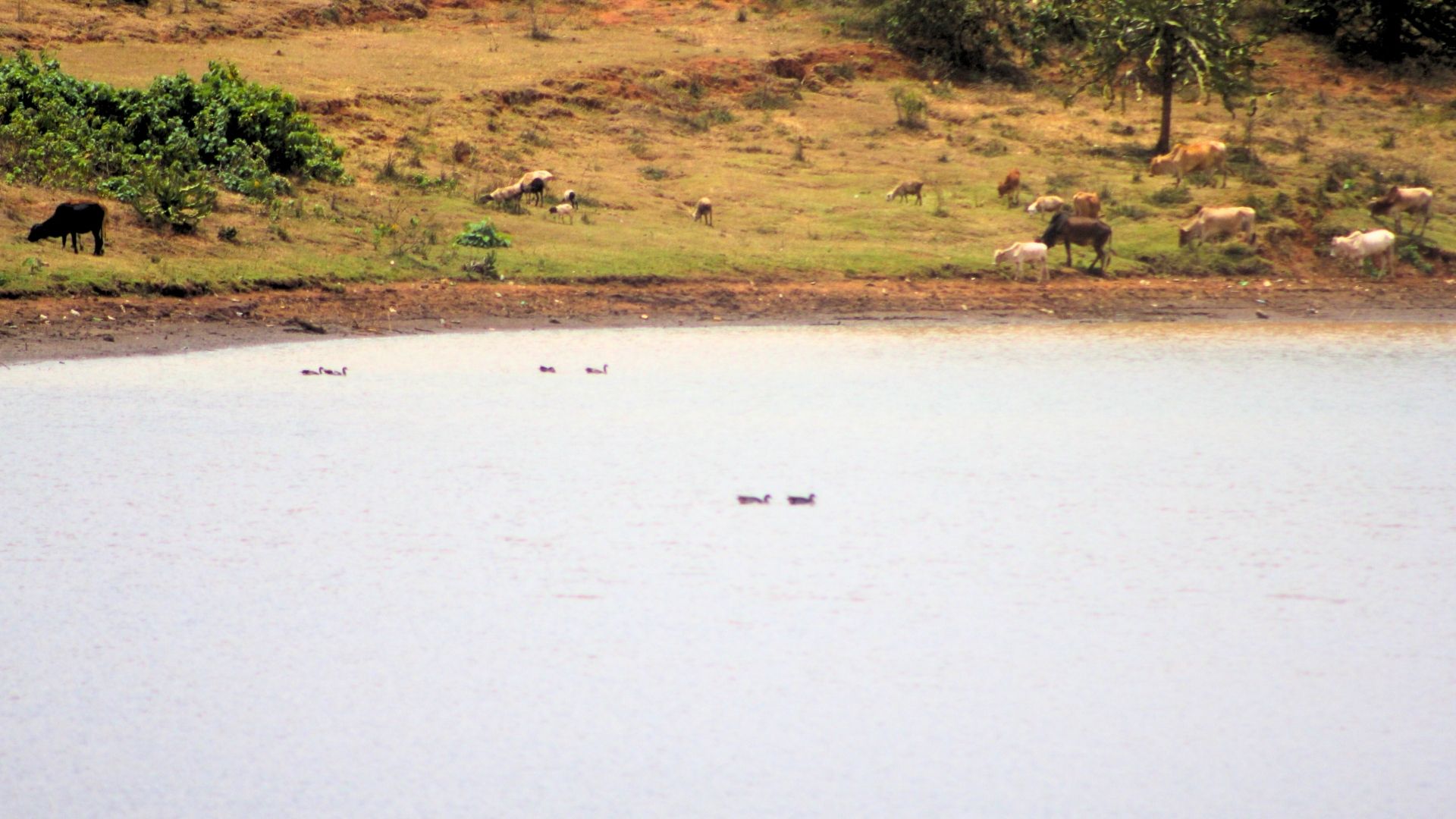 Legend of Ngong Hills (2011)